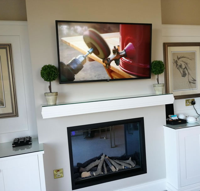 The image shows an interior setting with a wall-mounted flat-screen TV displaying machinery. Beside the TV on a mantelpiece are two potted plants. Below is a modern built-in fireplace. To the right, there's a framed artwork of a horse, and in the corner, a small white cabinet.